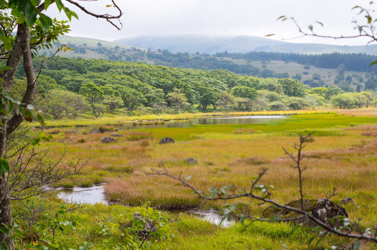 f:id:taka-xl883n:20190917104703j:plain f:id:taka-xl883n:20190917104703j:plain