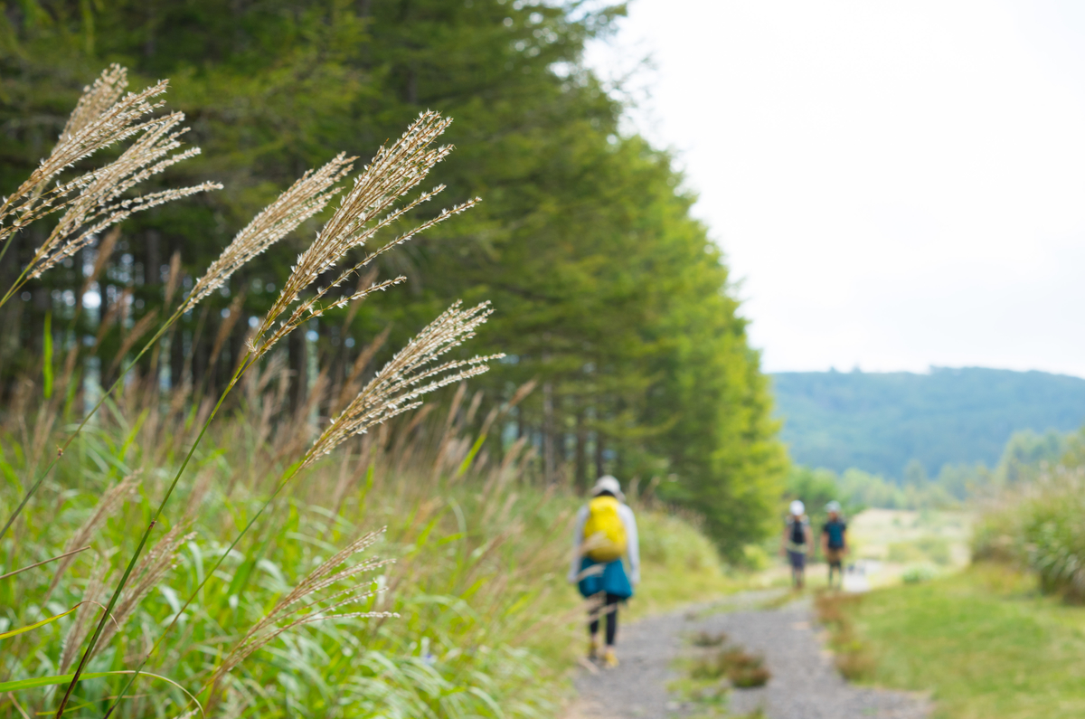 f:id:taka-xl883n:20190917110242j:plain f:id:taka-xl883n:20190917110242j:plain