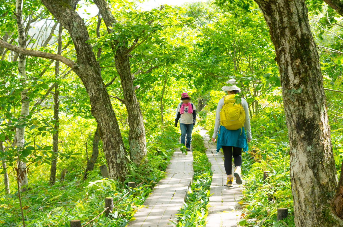 f:id:taka-xl883n:20190917110546j:plain f:id:taka-xl883n:20190917110546j:plain