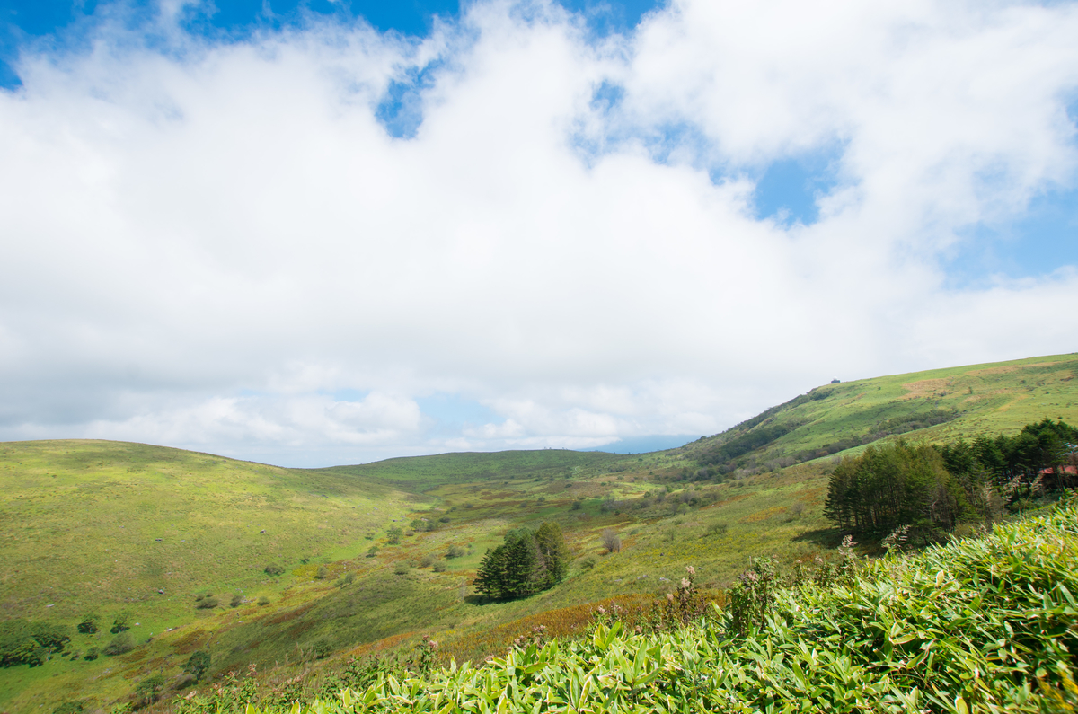 f:id:taka-xl883n:20190917111036j:plain f:id:taka-xl883n:20190917111036j:plain