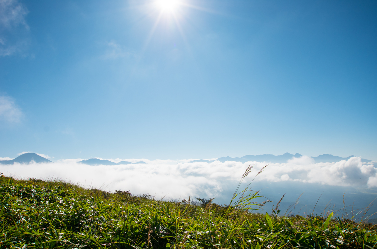 f:id:taka-xl883n:20190917112114j:plain f:id:taka-xl883n:20190917112114j:plain