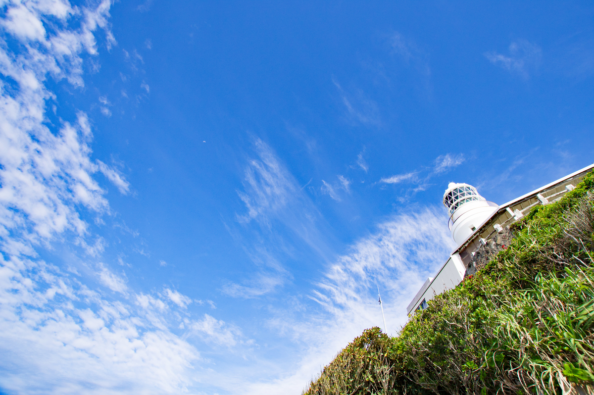 f:id:taka-xl883n:20191004103030j:plain f:id:taka-xl883n:20191004103030j:plain