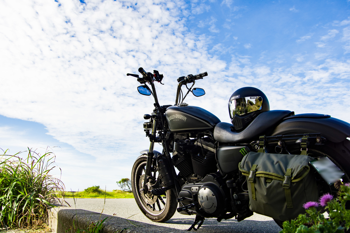 f:id:taka-xl883n:20191004103040j:plain f:id:taka-xl883n:20191004103040j:plain