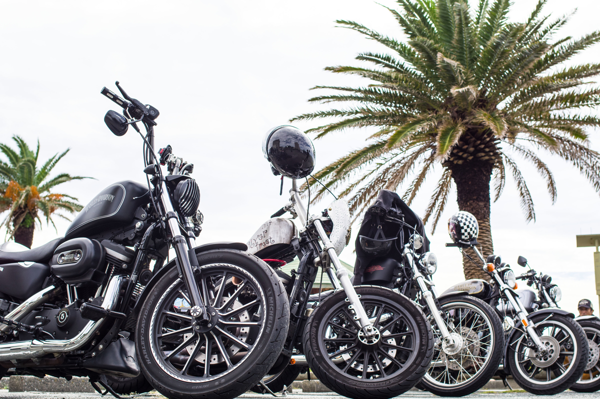 Sportster owner's group Meetingへ 二輪祭