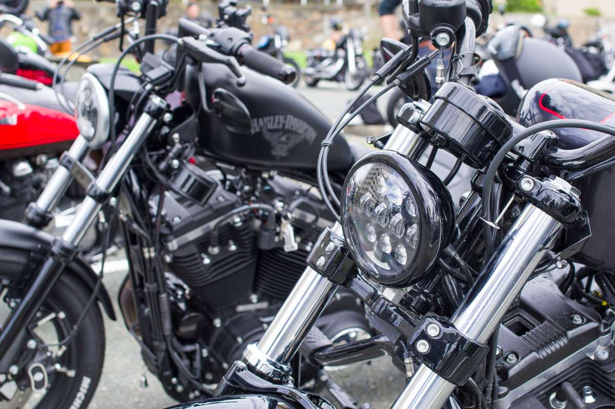 f:id:taka-xl883n:20191114120030j:plain f:id:taka-xl883n:20191114120030j:plain