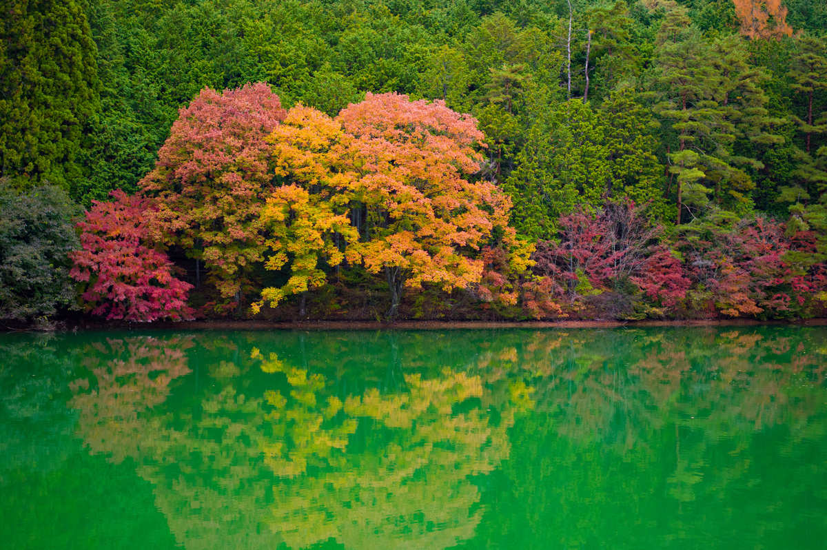 f:id:taka-xl883n:20191216201425j:plain f:id:taka-xl883n:20191216201425j:plain