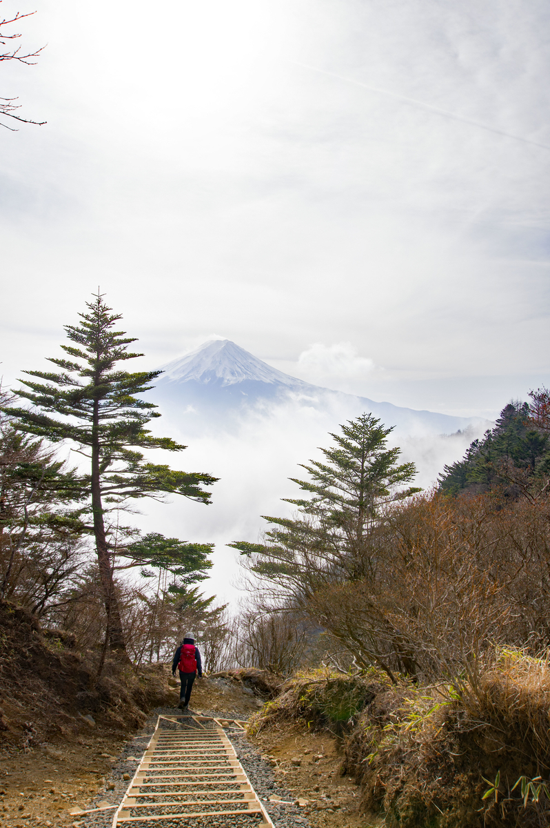 f:id:taka-xl883n:20191228154252j:plain