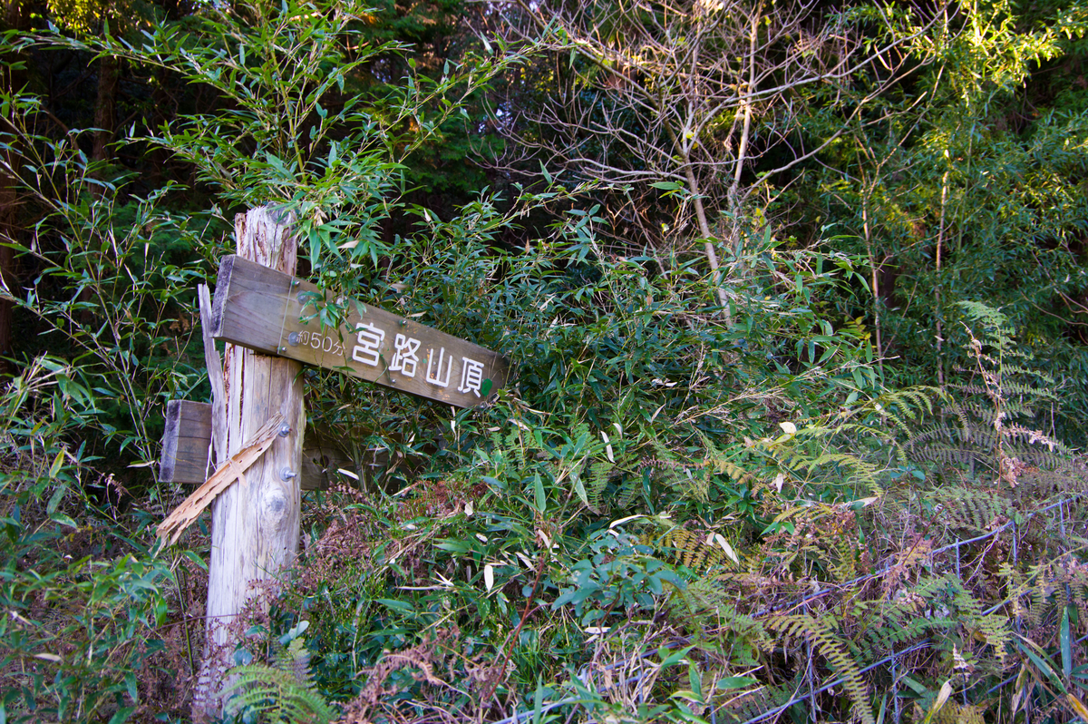 f:id:taka-xl883n:20191230135531j:plain f:id:taka-xl883n:20191230135531j:plain