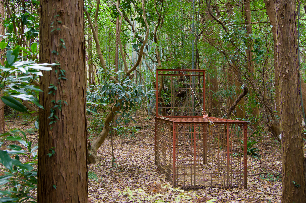 f:id:taka-xl883n:20191230142442j:plain f:id:taka-xl883n:20191230142442j:plain