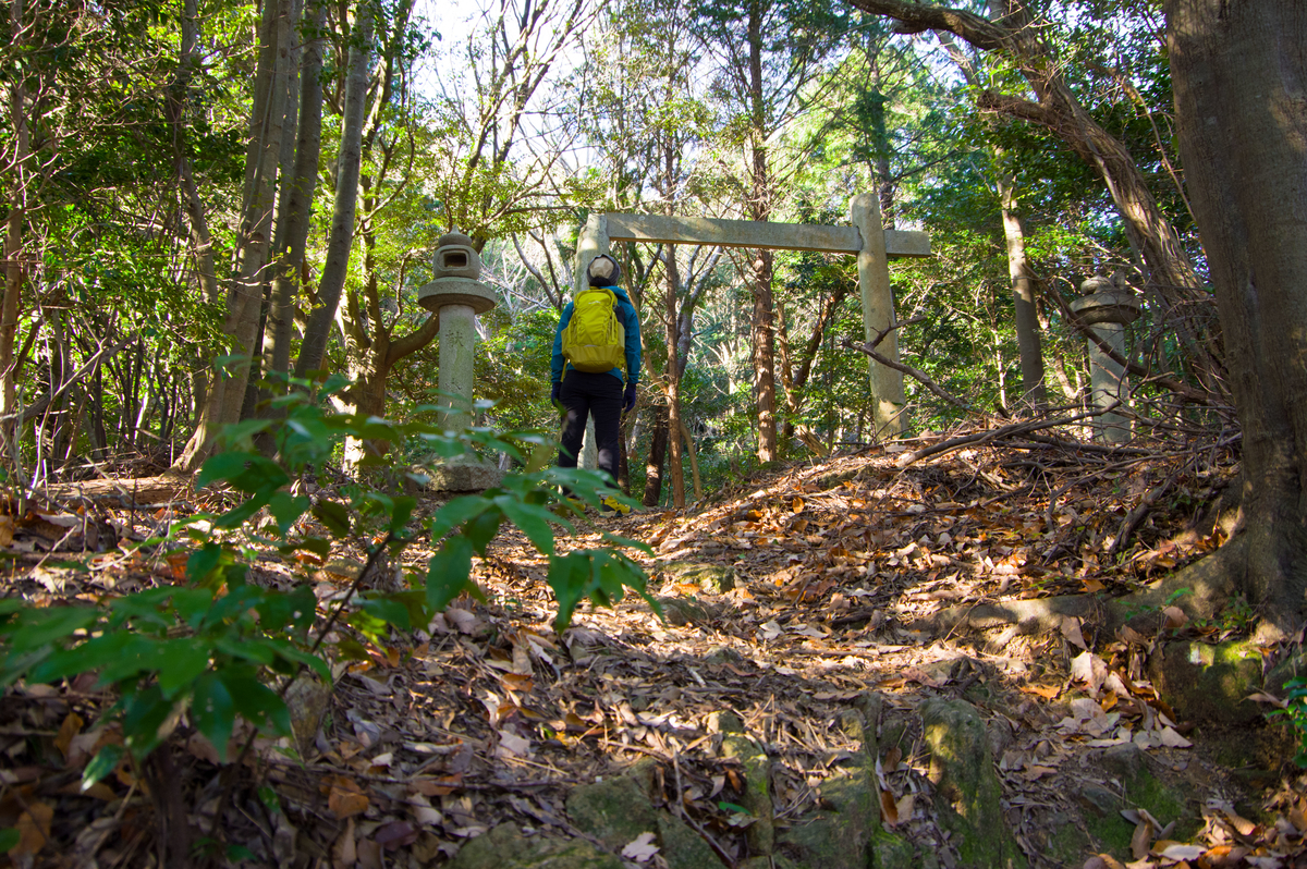 f:id:taka-xl883n:20191230143206j:plain f:id:taka-xl883n:20191230143206j:plain