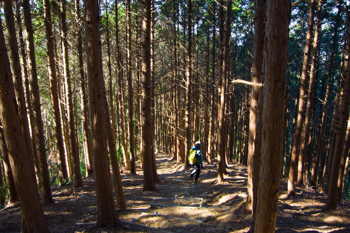 f:id:taka-xl883n:20191230163640j:plain f:id:taka-xl883n:20191230163640j:plain