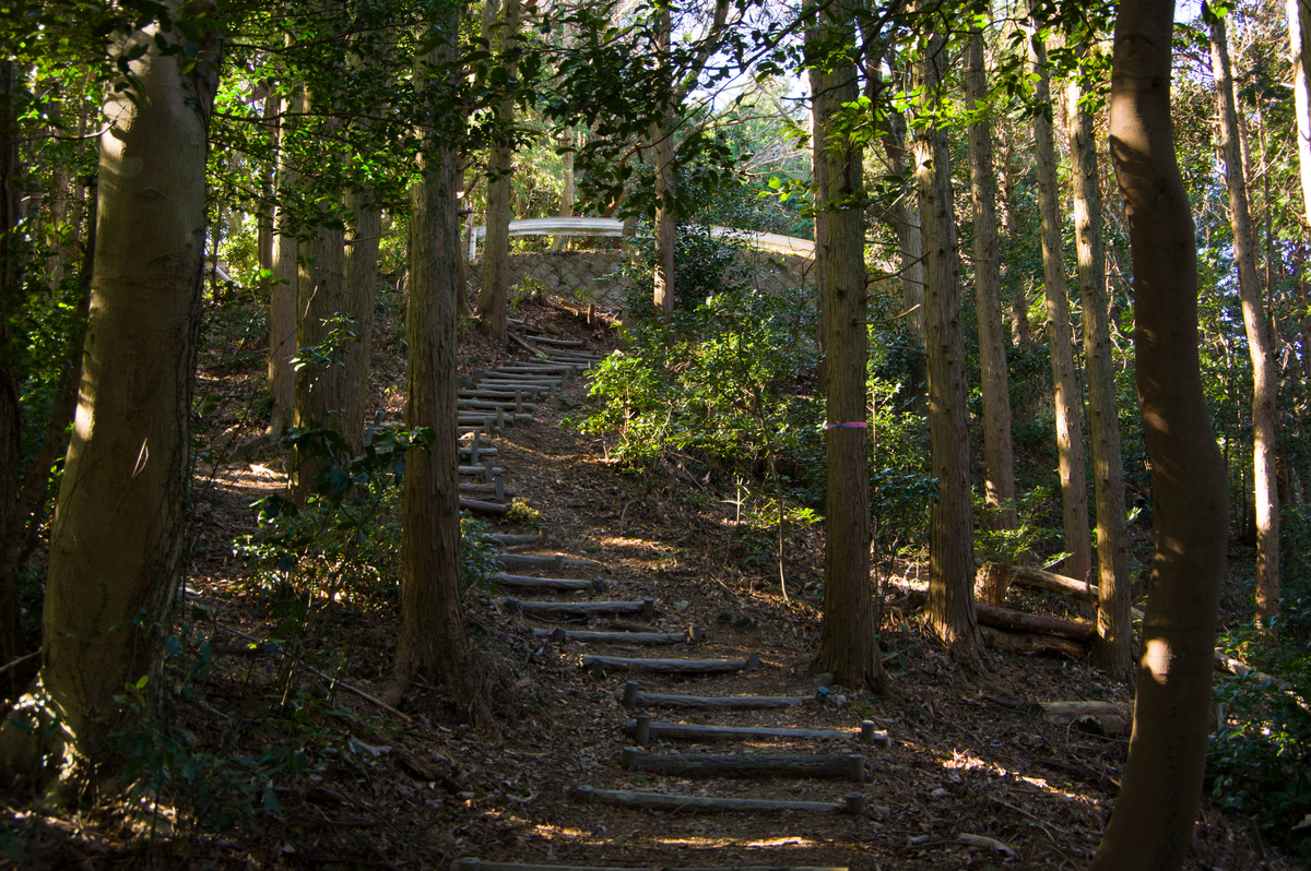 f:id:taka-xl883n:20191230164437j:plain f:id:taka-xl883n:20191230164437j:plain