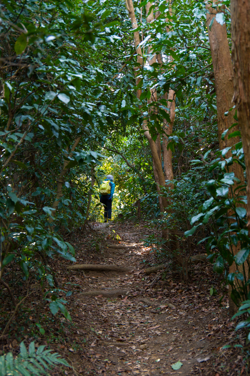 f:id:taka-xl883n:20191230165052j:plain f:id:taka-xl883n:20191230165052j:plain