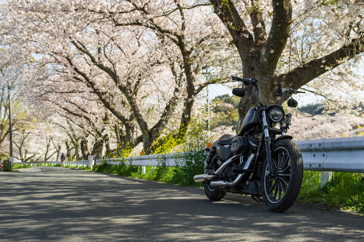 f:id:taka-xl883n:20200428170739j:plain f:id:taka-xl883n:20200428170739j:plain