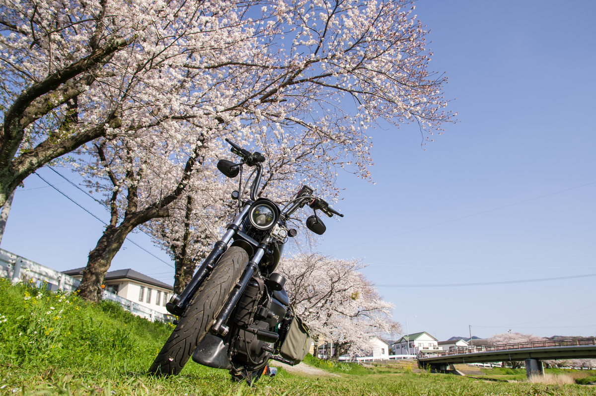 f:id:taka-xl883n:20200428171301j:plain f:id:taka-xl883n:20200428171301j:plain