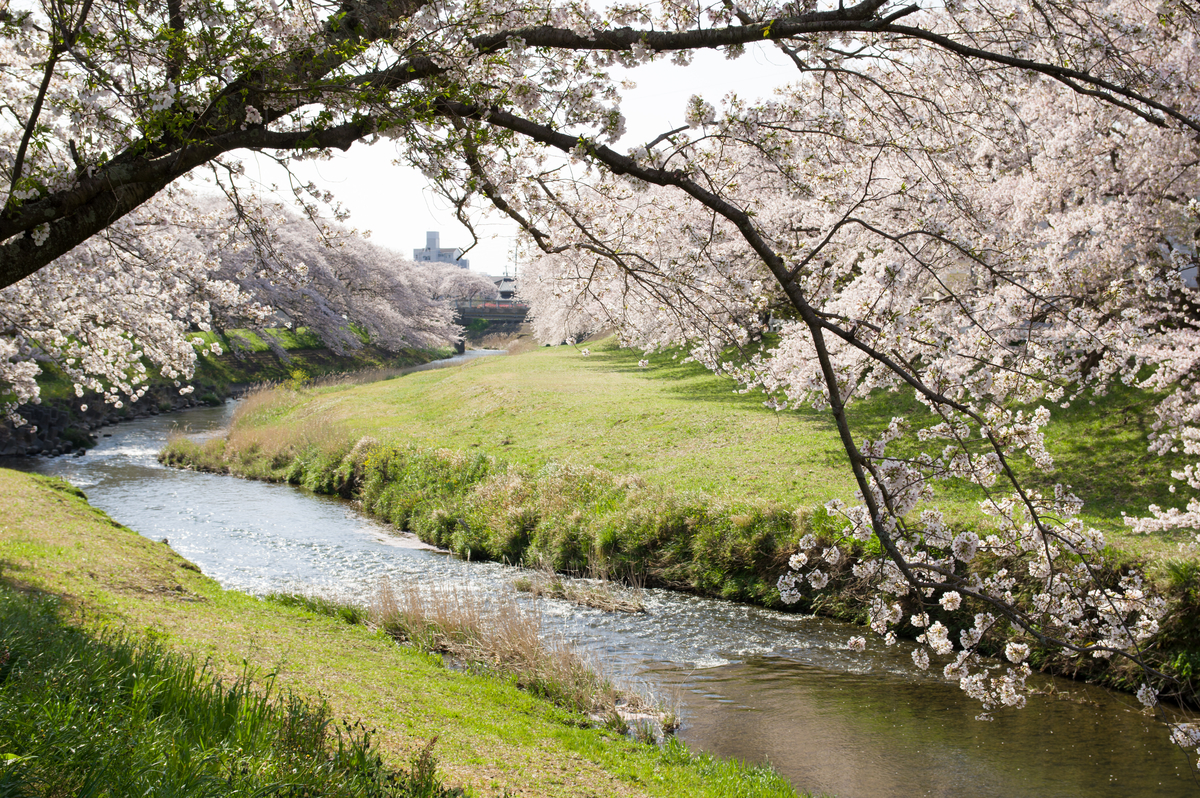 f:id:taka-xl883n:20200428172432j:plain f:id:taka-xl883n:20200428172432j:plain