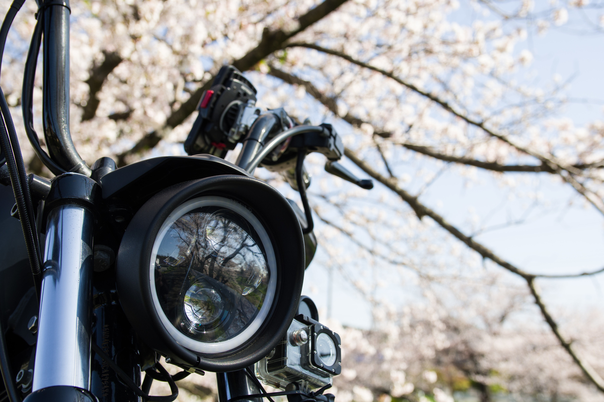 f:id:taka-xl883n:20200428182531j:plain f:id:taka-xl883n:20200428182531j:plain