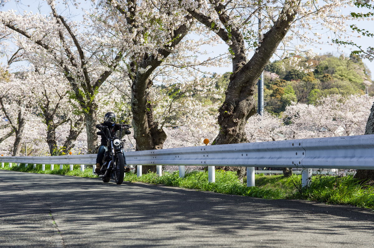 f:id:taka-xl883n:20200428182619j:plain f:id:taka-xl883n:20200428182619j:plain