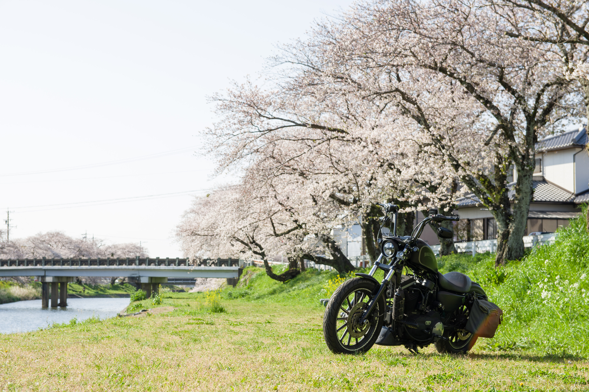 f:id:taka-xl883n:20200428183542j:plain f:id:taka-xl883n:20200428183542j:plain