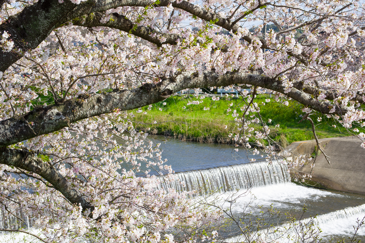 f:id:taka-xl883n:20200428184328j:plain f:id:taka-xl883n:20200428184328j:plain