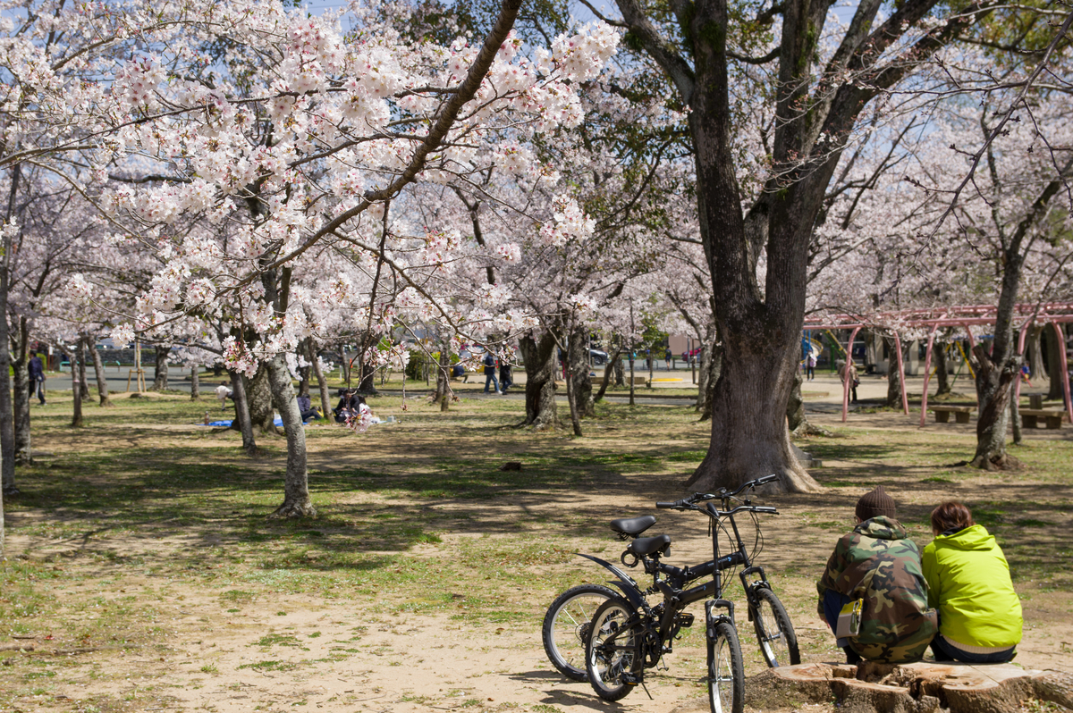 f:id:taka-xl883n:20200428185004j:plain f:id:taka-xl883n:20200428185004j:plain