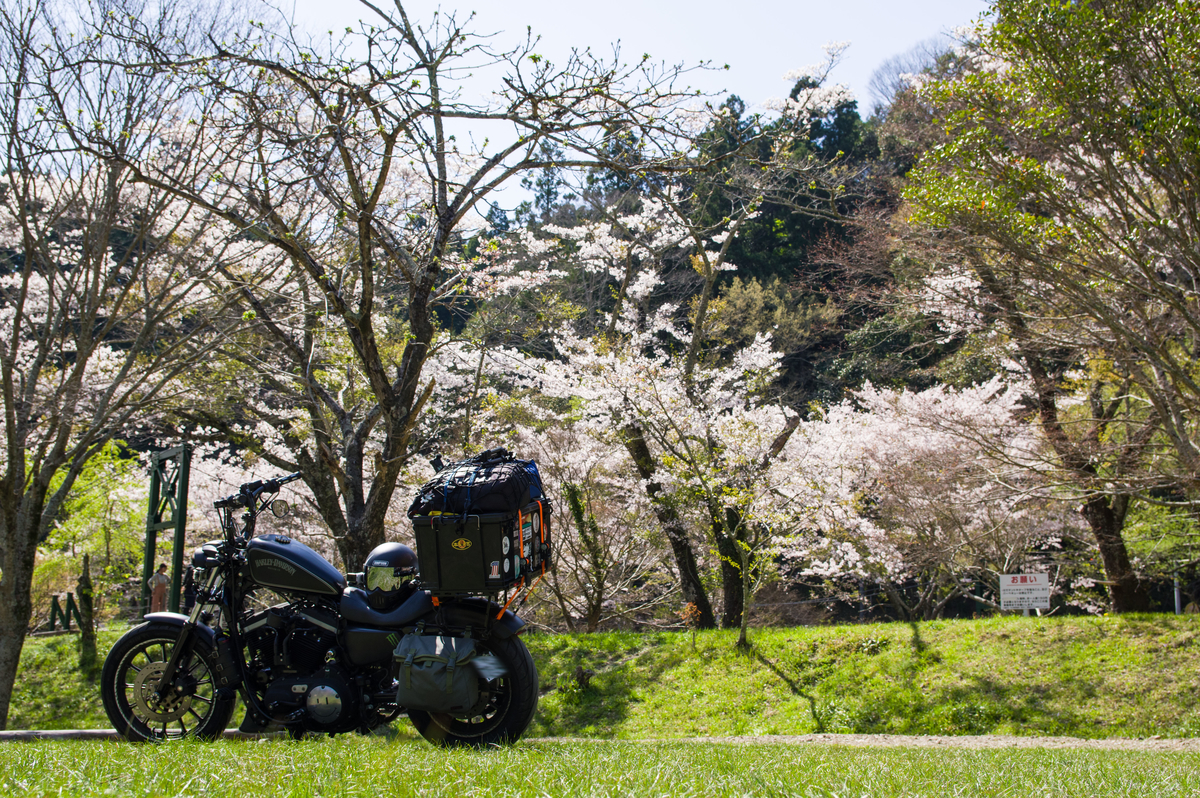 f:id:taka-xl883n:20200501133732j:plain f:id:taka-xl883n:20200501133732j:plain