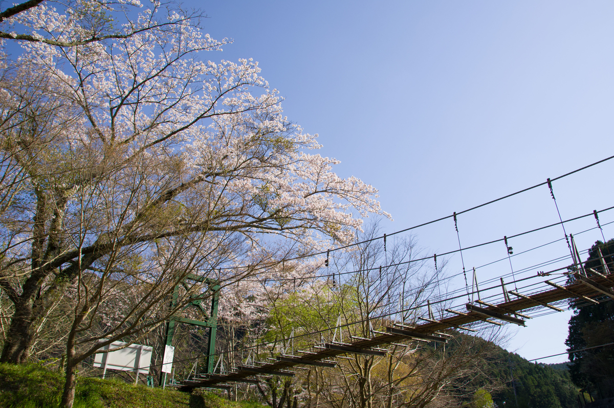 f:id:taka-xl883n:20200501134937j:plain f:id:taka-xl883n:20200501134937j:plain