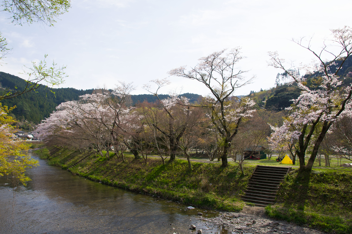 f:id:taka-xl883n:20200501145758j:plain f:id:taka-xl883n:20200501145758j:plain