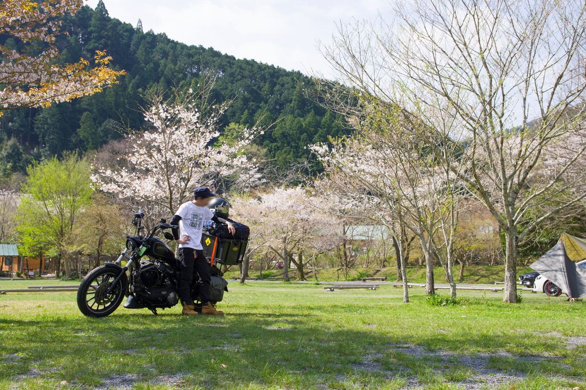 f:id:taka-xl883n:20200501152008j:plain f:id:taka-xl883n:20200501152008j:plain