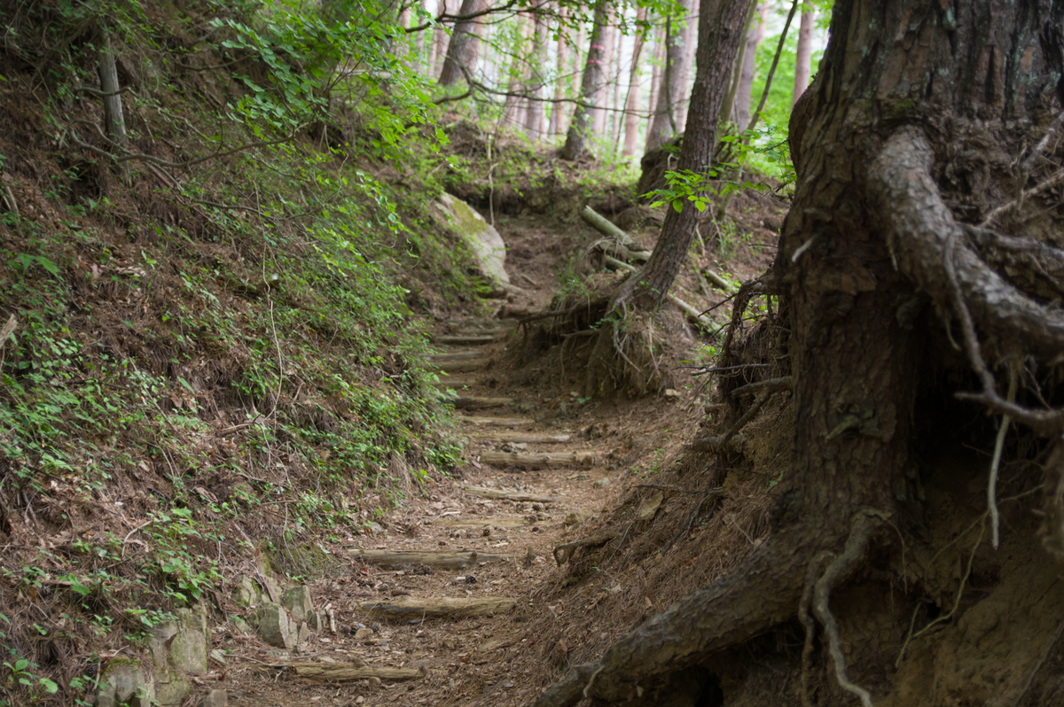 f:id:taka-xl883n:20200619100308j:plain f:id:taka-xl883n:20200619100308j:plain