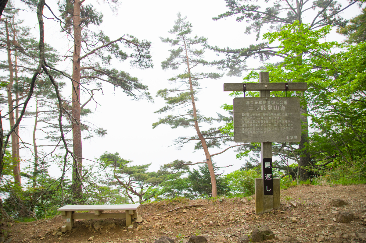 f:id:taka-xl883n:20200619104432j:plain f:id:taka-xl883n:20200619104432j:plain