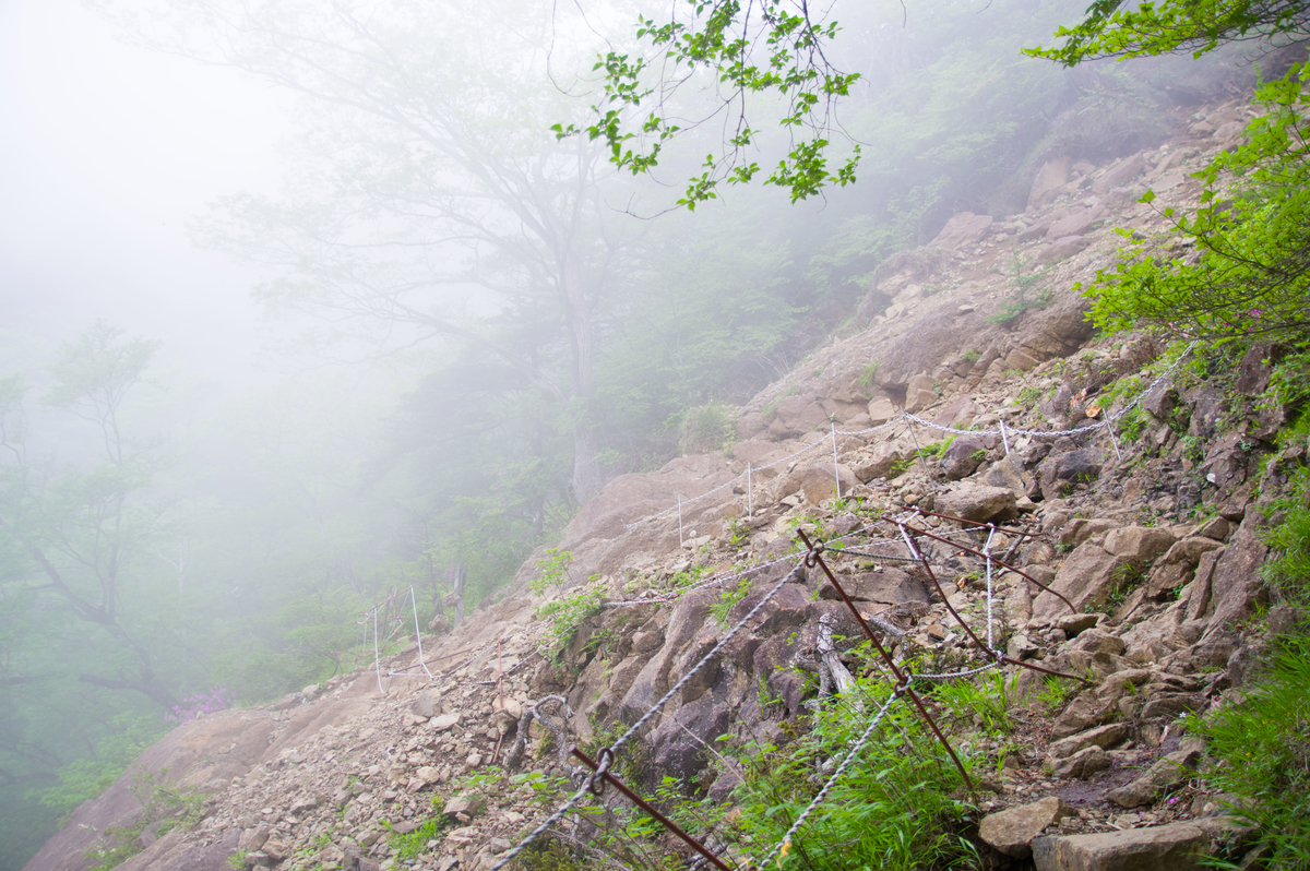 f:id:taka-xl883n:20200619105122j:plain f:id:taka-xl883n:20200619105122j:plain