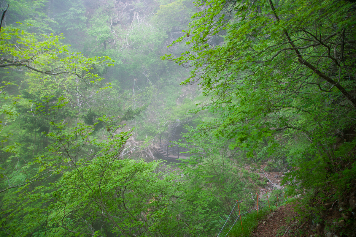 f:id:taka-xl883n:20200619105154j:plain f:id:taka-xl883n:20200619105154j:plain