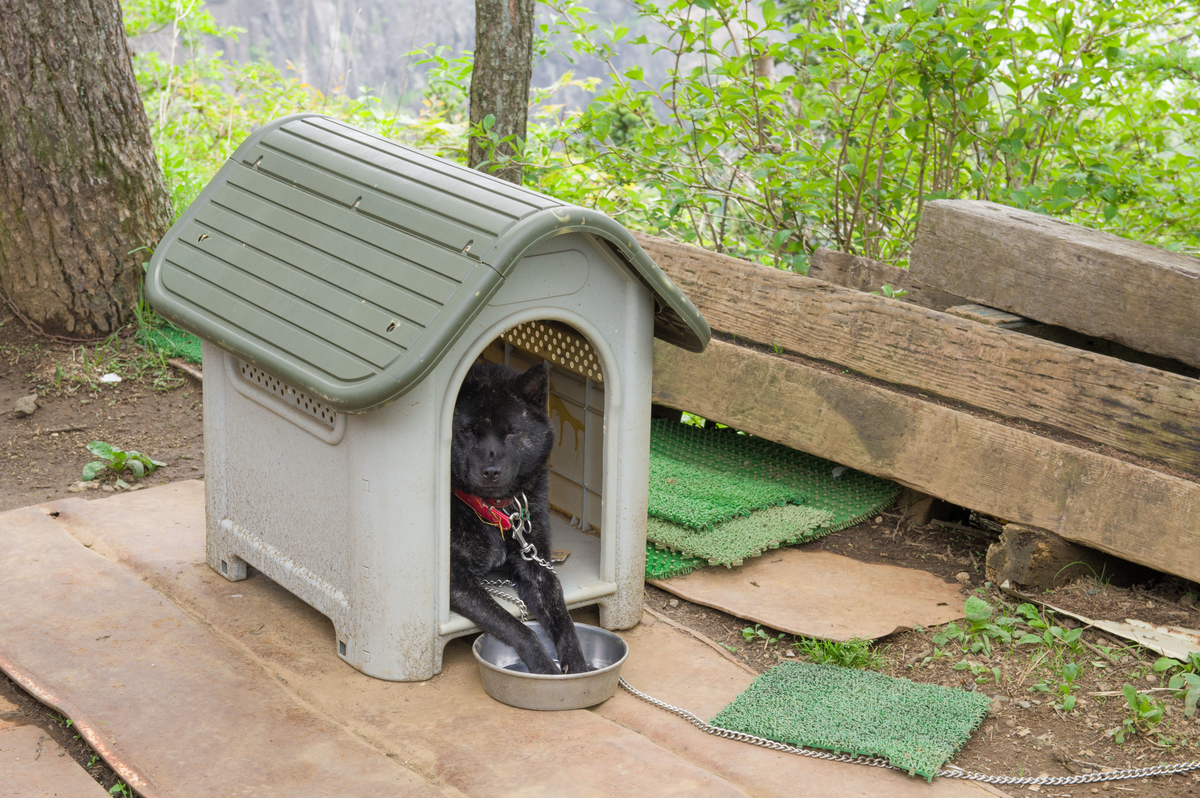 f:id:taka-xl883n:20200619105244j:plain f:id:taka-xl883n:20200619105244j:plain