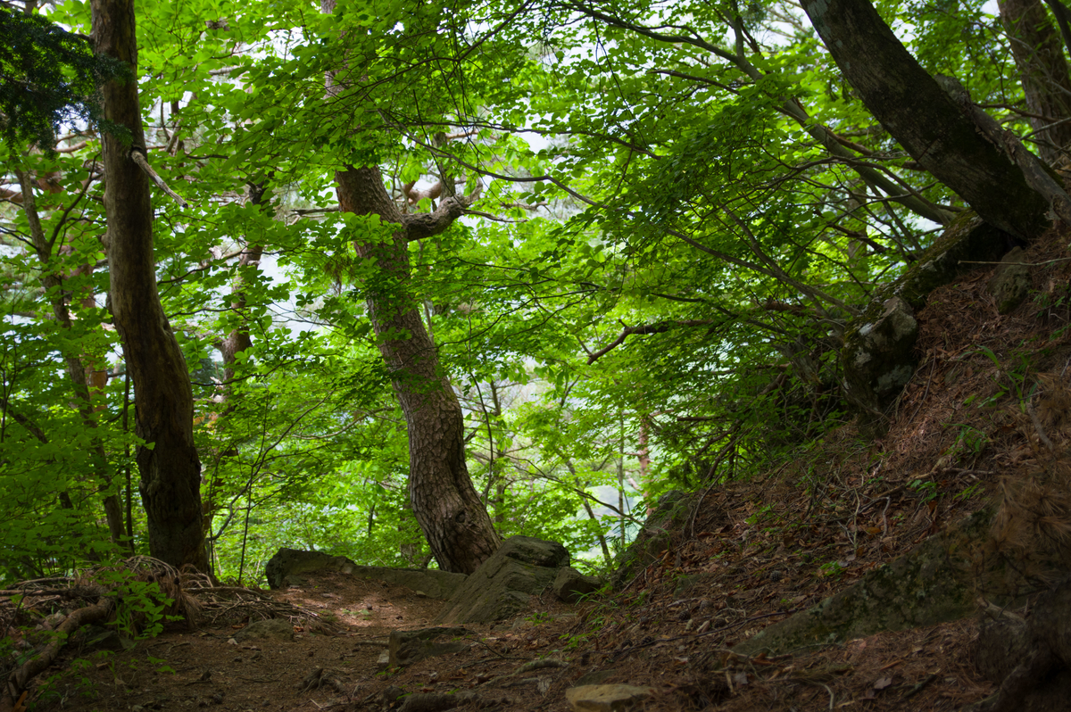 f:id:taka-xl883n:20200619105458j:plain f:id:taka-xl883n:20200619105458j:plain