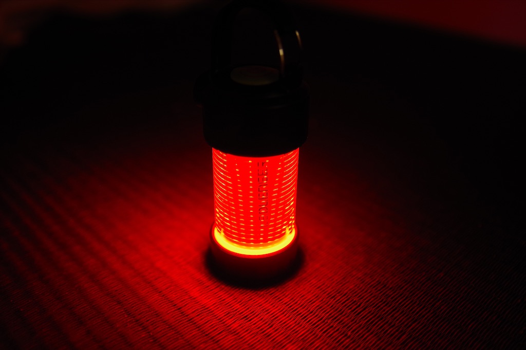 f:id:taka-xl883n:20220121141317j:image f:id:taka-xl883n:20220121141317j:image