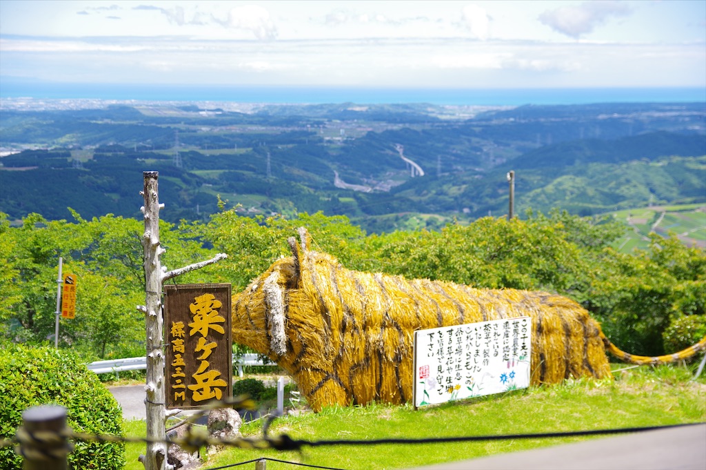 f:id:taka-xl883n:20220607173449j:image f:id:taka-xl883n:20220607173449j:image