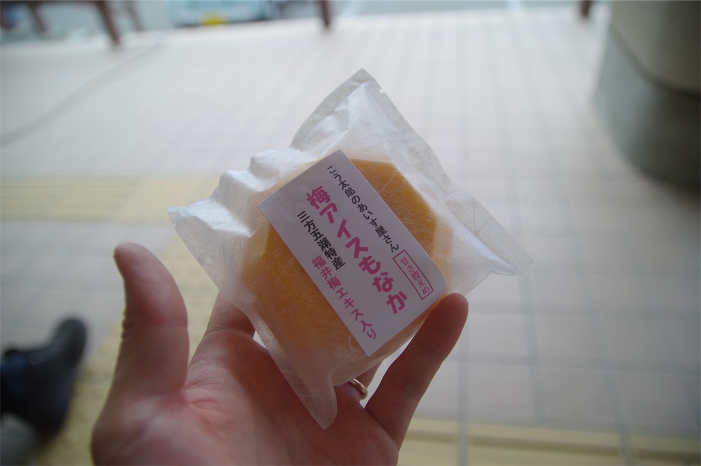 f:id:taka-xl883n:20230820055933j:image