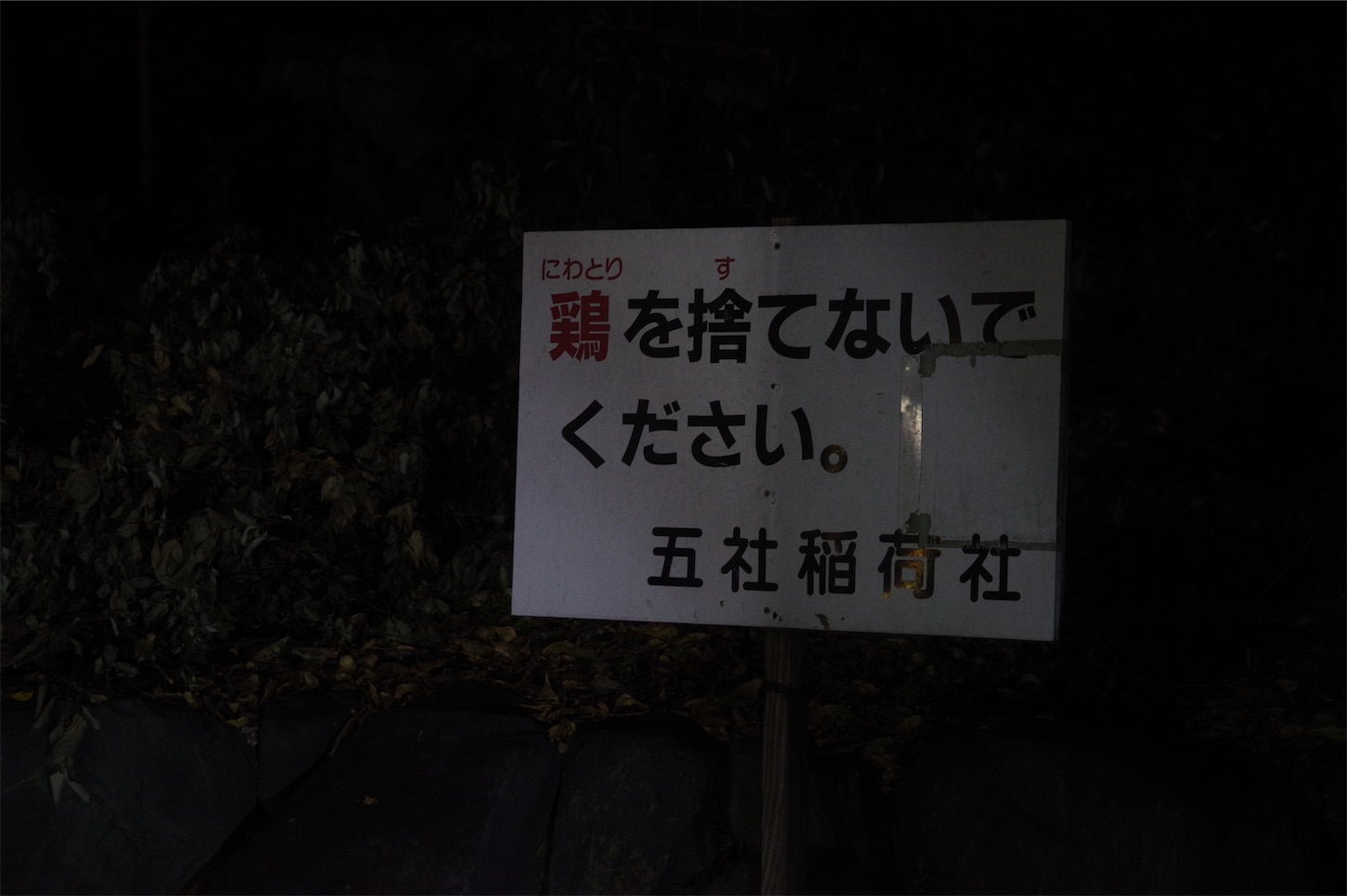 f:id:taka-xl883n:20241218083515j:image