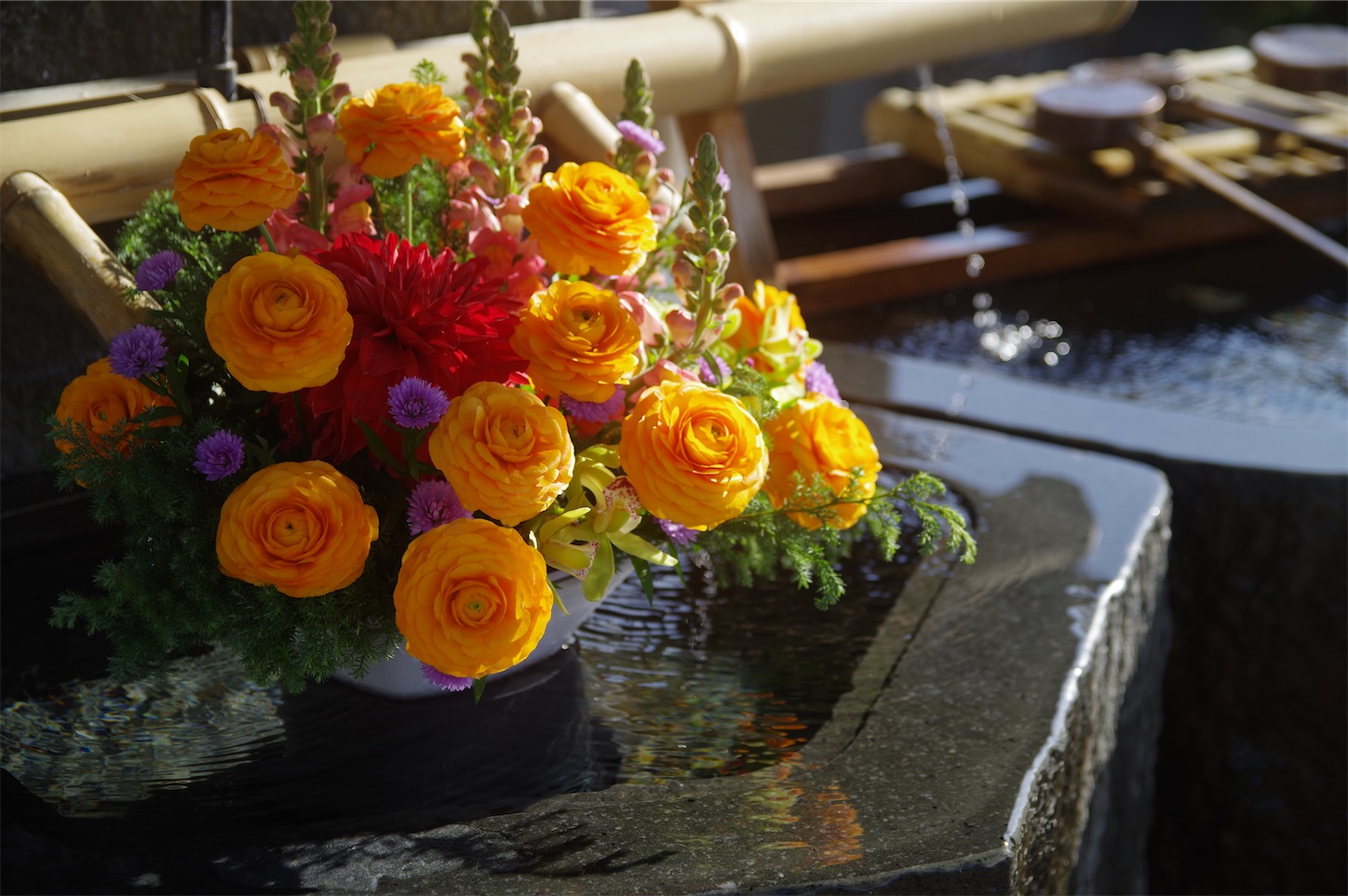 f:id:taka-xl883n:20241219170721j:image