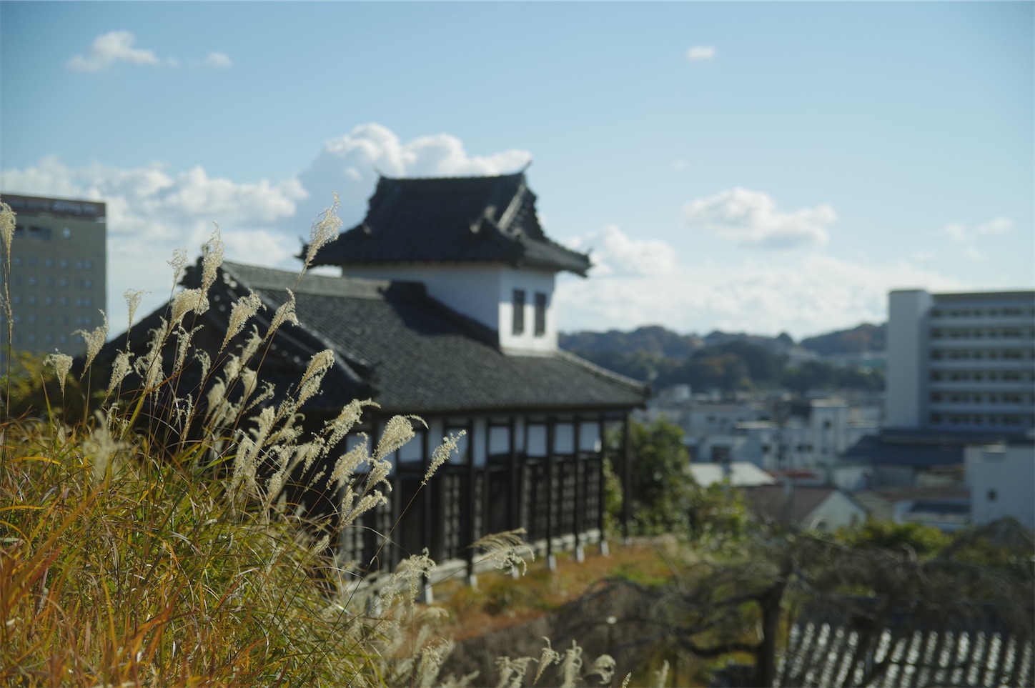 f:id:taka-xl883n:20241219170808j:image