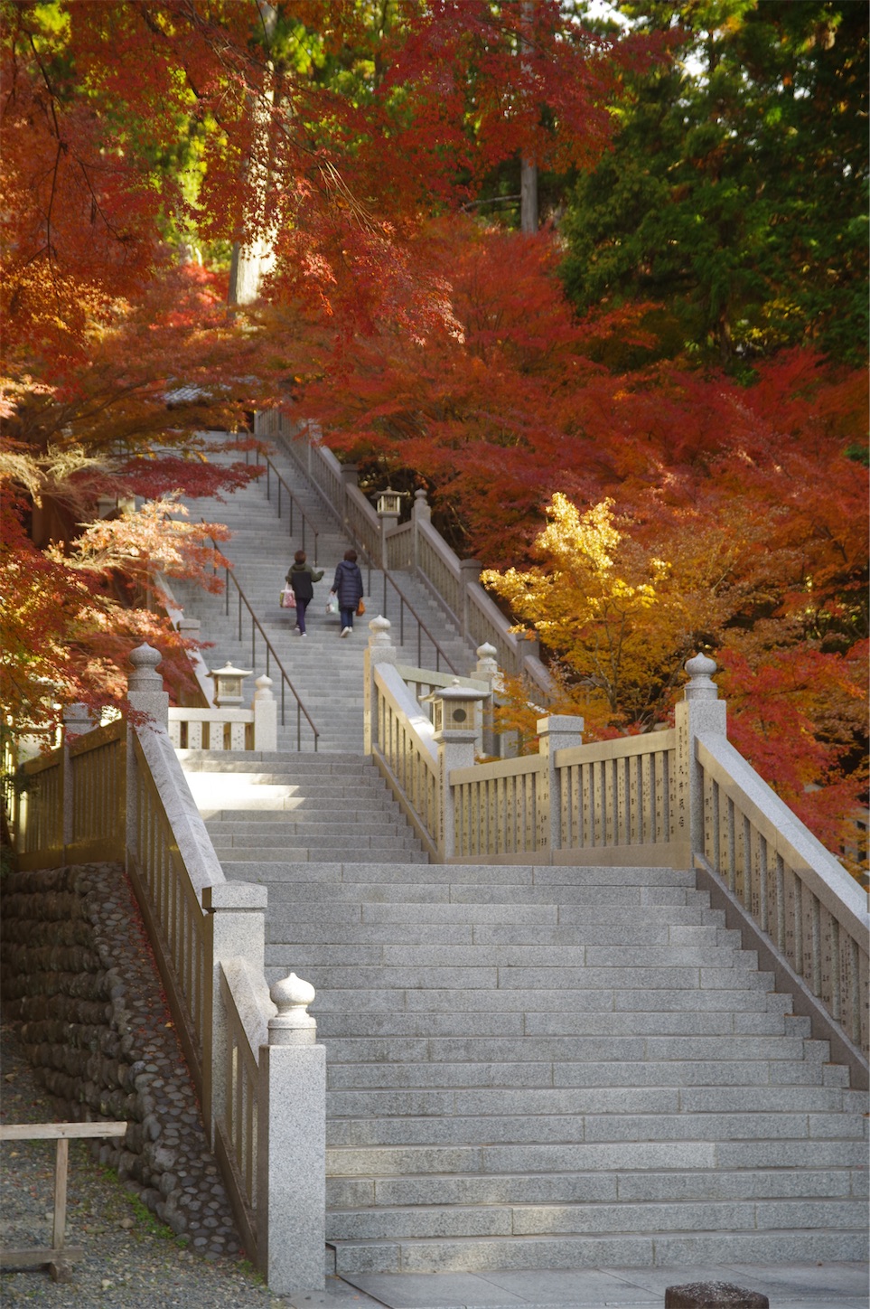 f:id:taka-xl883n:20241219170906j:image