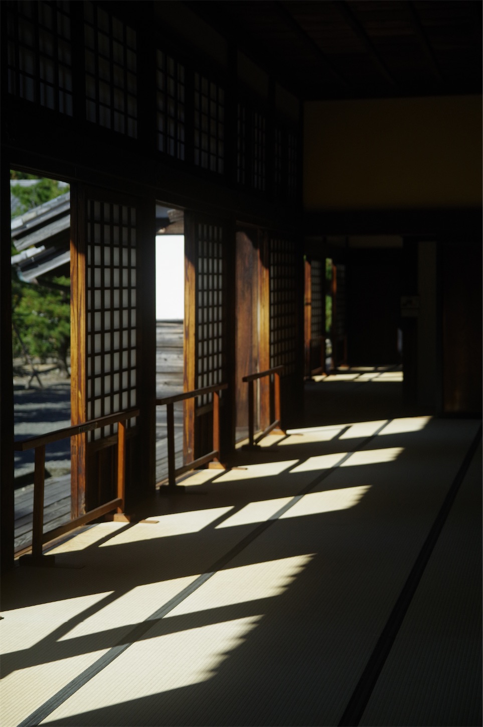 f:id:taka-xl883n:20241219170917j:image