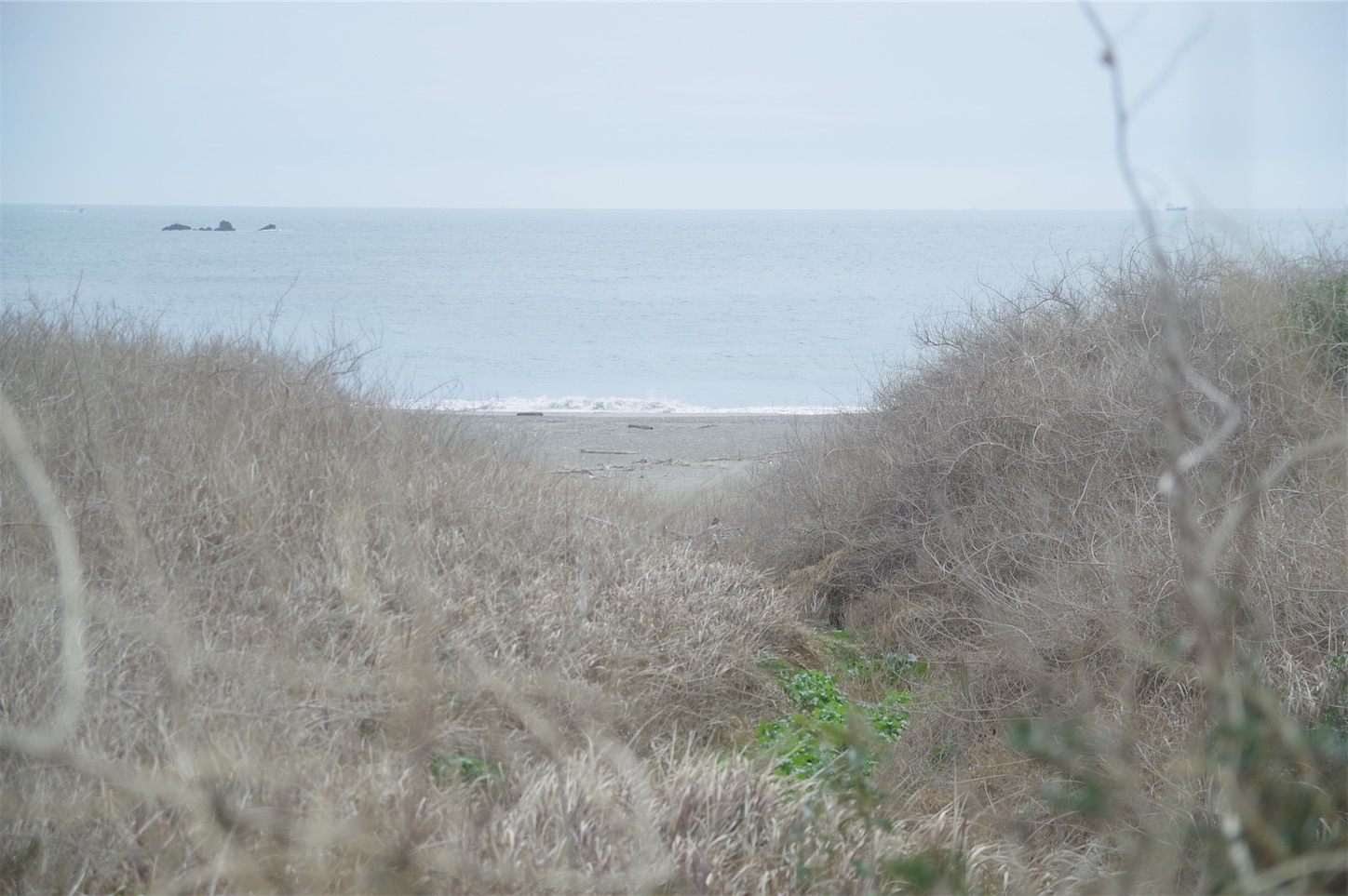 f:id:taka-xl883n:20250216170601j:image