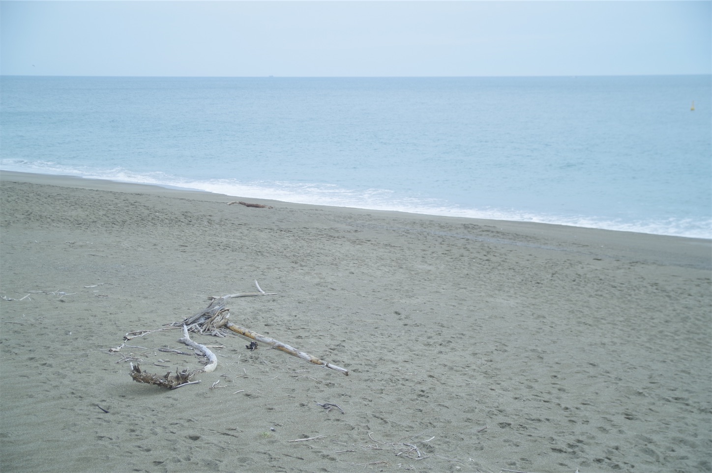 f:id:taka-xl883n:20250216170624j:image