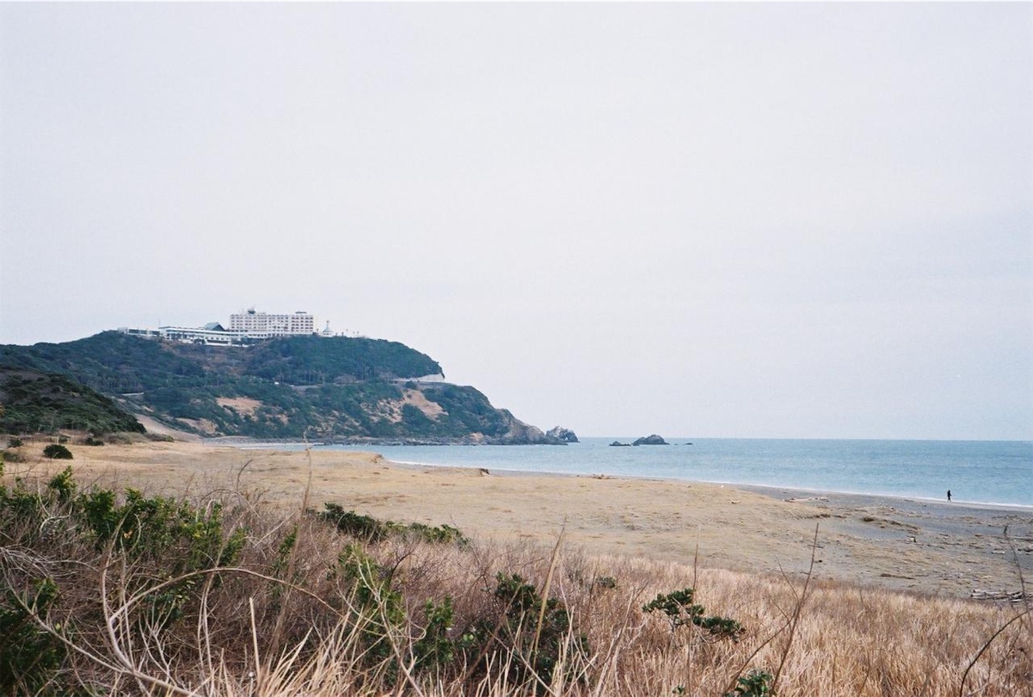 f:id:taka-xl883n:20250302005222j:image