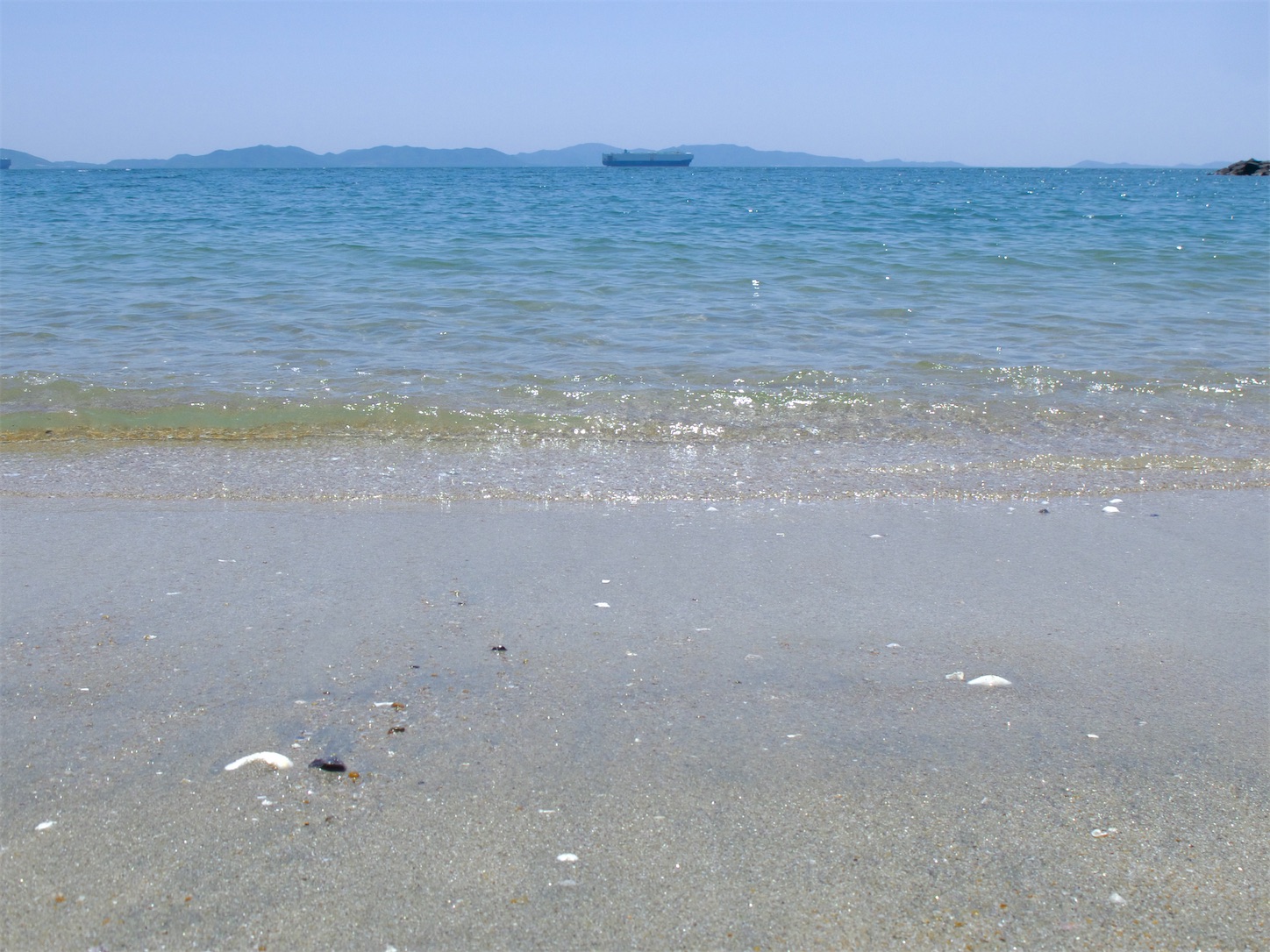 f:id:taka-xl883n:20250505184305j:image