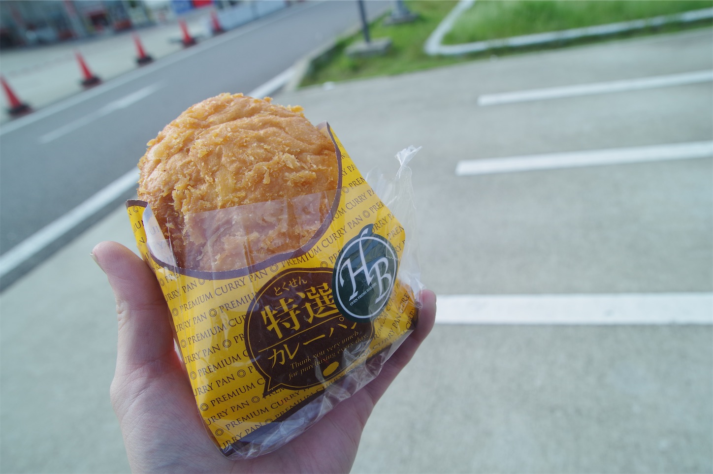 f:id:taka-xl883n:20250528180753j:image