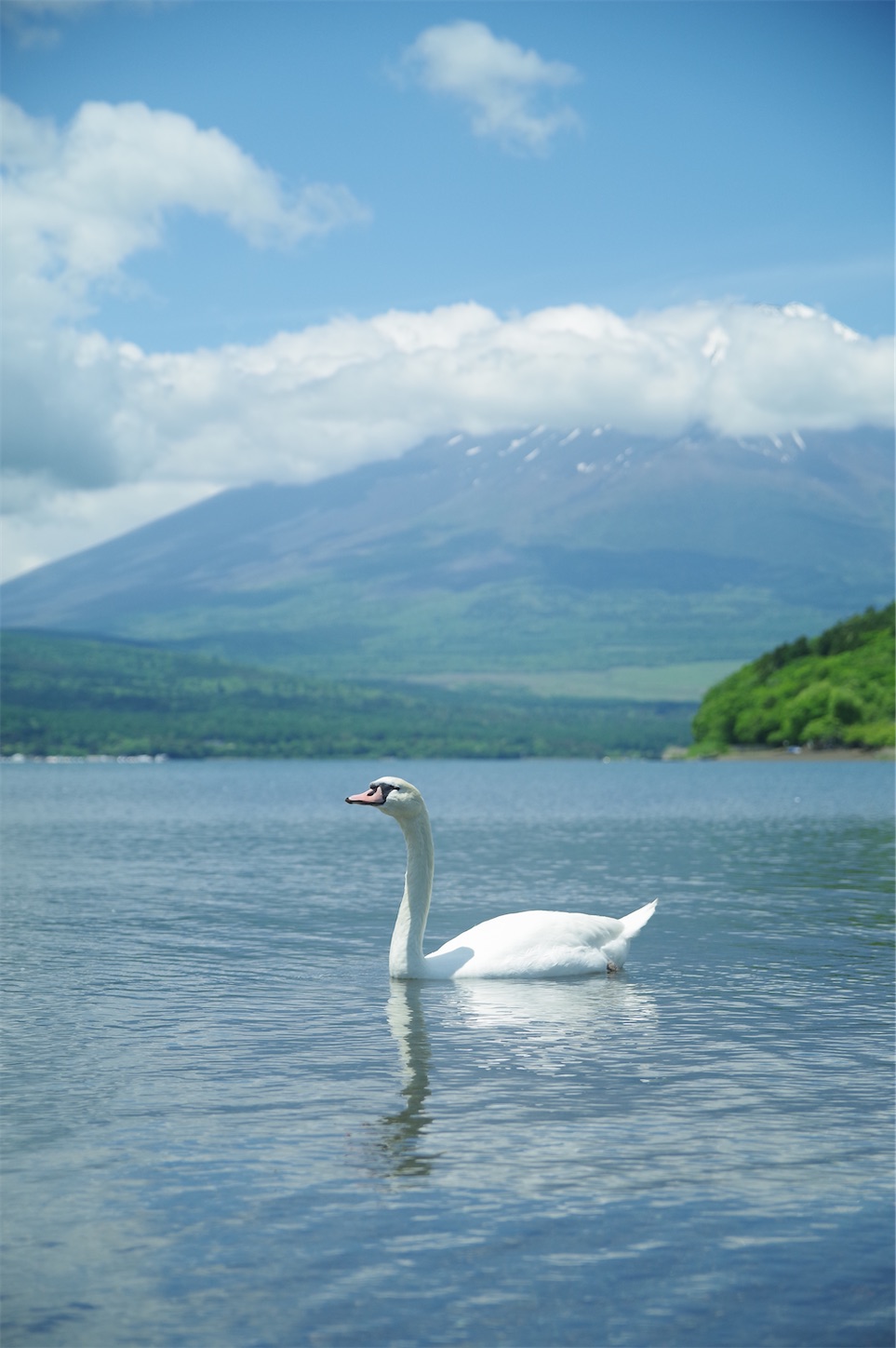 f:id:taka-xl883n:20250528182710j:image