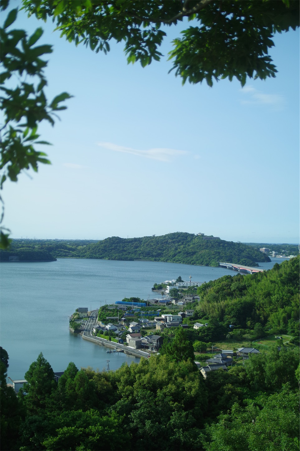 f:id:taka-xl883n:20250601203006j:image